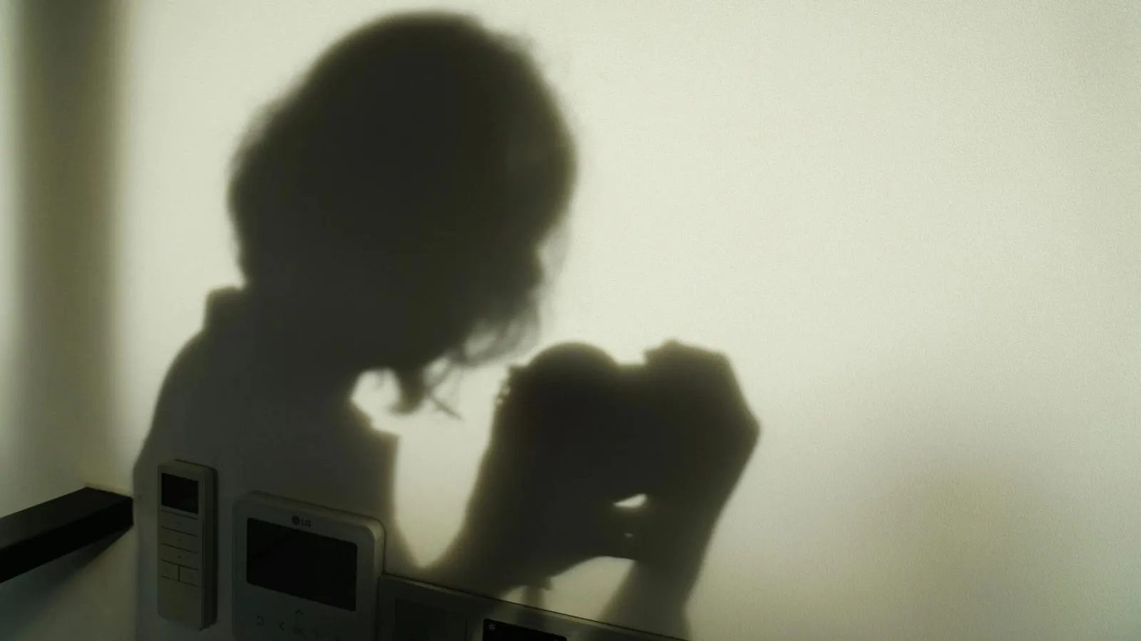 Un Análisis Legal y Humano de la Defensa en Casos de Violencia Doméstica en la América Moderna