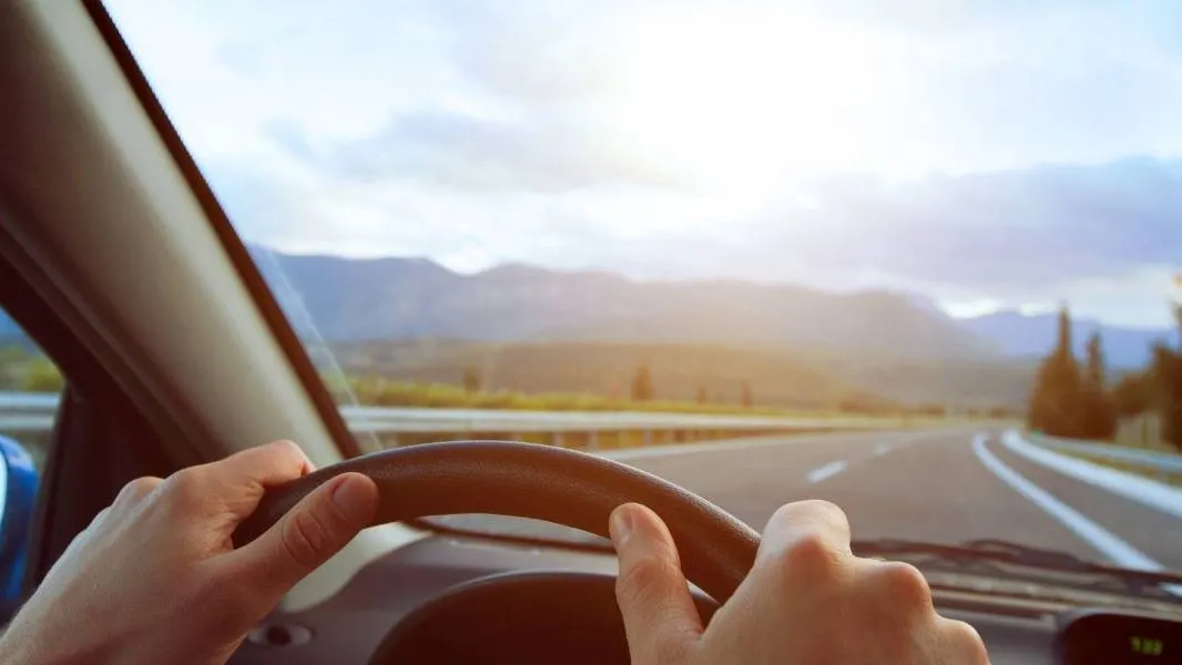 Cómo entender la licencia BPO en Florida: una guía completa para conductores