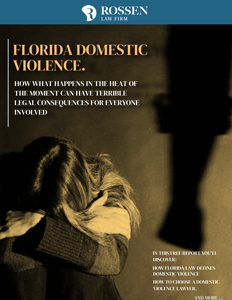 Portada de Florida Domestic Violence
