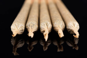 Marihuana enrollada en cigarrillos, representando un cargo de posesión de cannabis en Florida