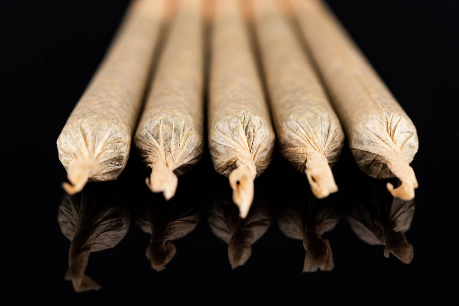 Caso de Posesión de Marihuana, Parafernalia de Drogas y Conducción con Licencia Suspendida Desestimado en Florida por Abogados de Defensa por Drogas
