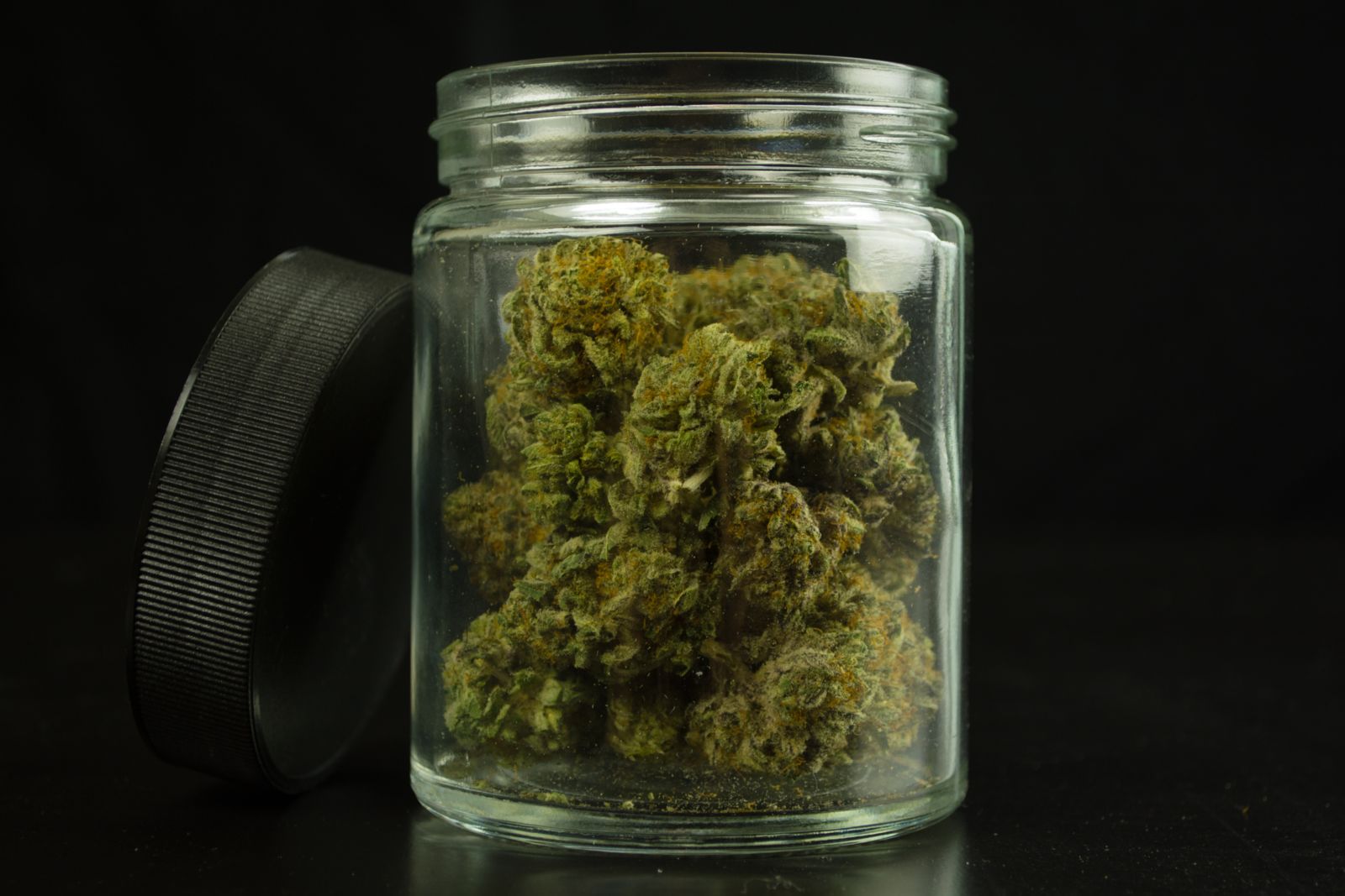 Posesión de Cannabis de Joven Resulta en Perdón Completo del Gobernador de Florida